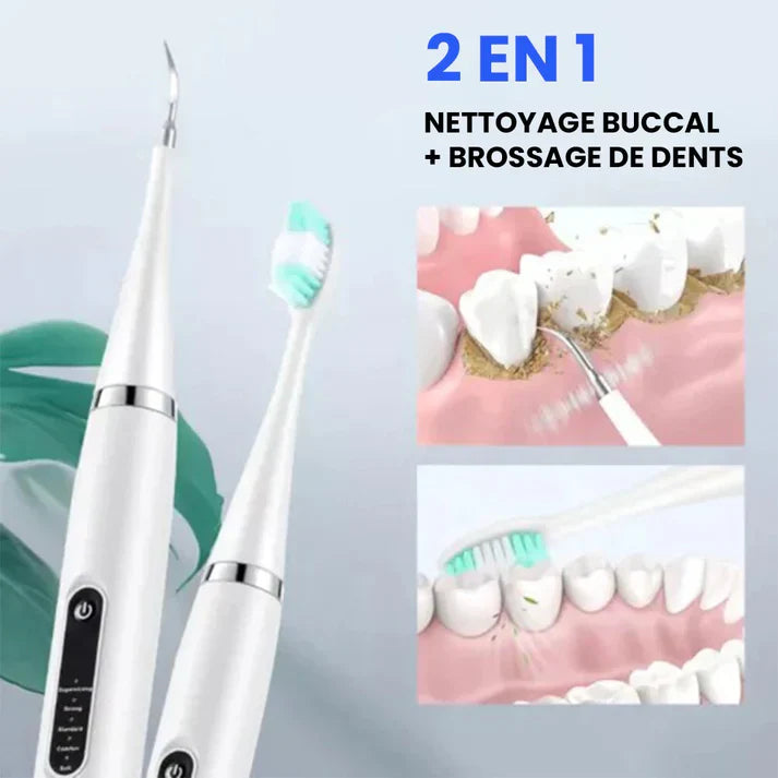 BROSSE A DENT ELECTRIQUE