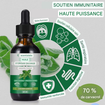 LE BOUCLIER INTESTINAL ULTIME : HUILE D'ORIGAN SAUVAGE PUISSANTE
