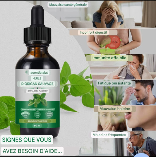 LE BOUCLIER INTESTINAL ULTIME : HUILE D'ORIGAN SAUVAGE PUISSANTE