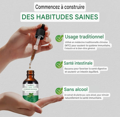 LE BOUCLIER INTESTINAL ULTIME : HUILE D'ORIGAN SAUVAGE PUISSANTE